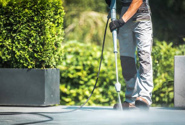 Best House Exterior Washing  in Medina, TN